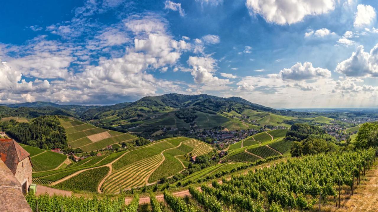 Dorint Hotel Durbach/Schwarzwald 외부 사진